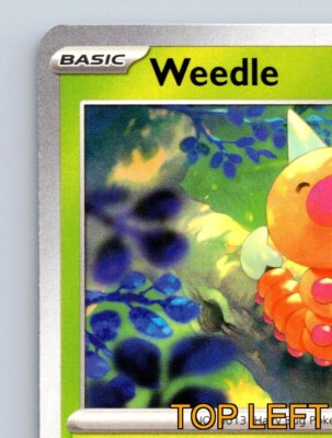 Weedle HP 50 Bug Bite Attack Vibrant Green Pokémon Card Basic | eBay