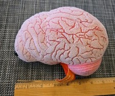 Giant Microbes Plush Brain Organ 7" See All Pics And Description