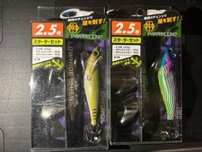 Set of 2 Rawhide Sheen Starter Sets 852822