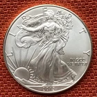 2013 American Silver Eagle .999 Fine Silver BU from U.S. Mint Roll 1 Oz Nice!