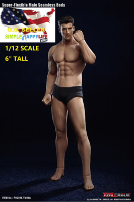 TBLeague PHICEN 1/12 male Seamless body 6'' figure w/ Head TM01A SUNTAN  USA 