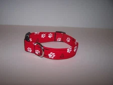 Wet Nose Designs Puppy Love Hearts & Paws Dog Collar on Brite Red Valentines Day