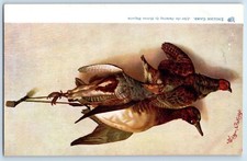 Widgeon & Partridges Inglés Juego Después de Pintar Helena Maguire Tuck Postal