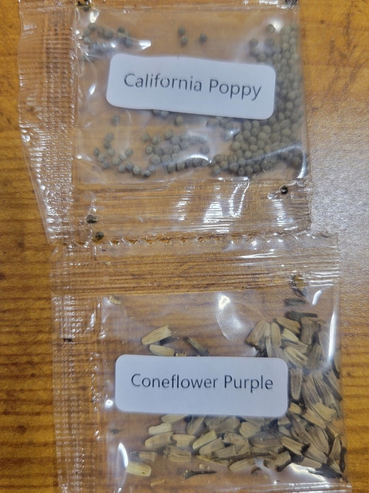 Annual Flower Seed Sets 6 Varieties, Individually Wrapped, New eBay