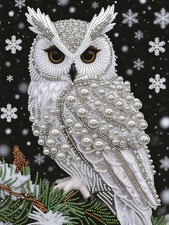 SuuTang 5D Owl Diamond Art Pearl Painting 17.8 inches x 13.8 inches, OWL 002