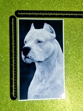 Cane Molosso White Dogo Argentino Pitbull - Poster Manifesto Big Sticker