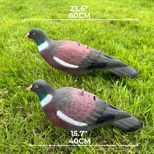 Plastic Pigeon Shell Decoys Extra Large Magnum High Definition great quality - Picture 2 of 9