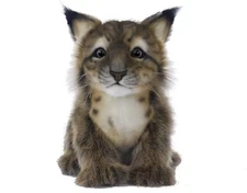 HANSA 198572 Lynx Cub,Other Stuffed Animals