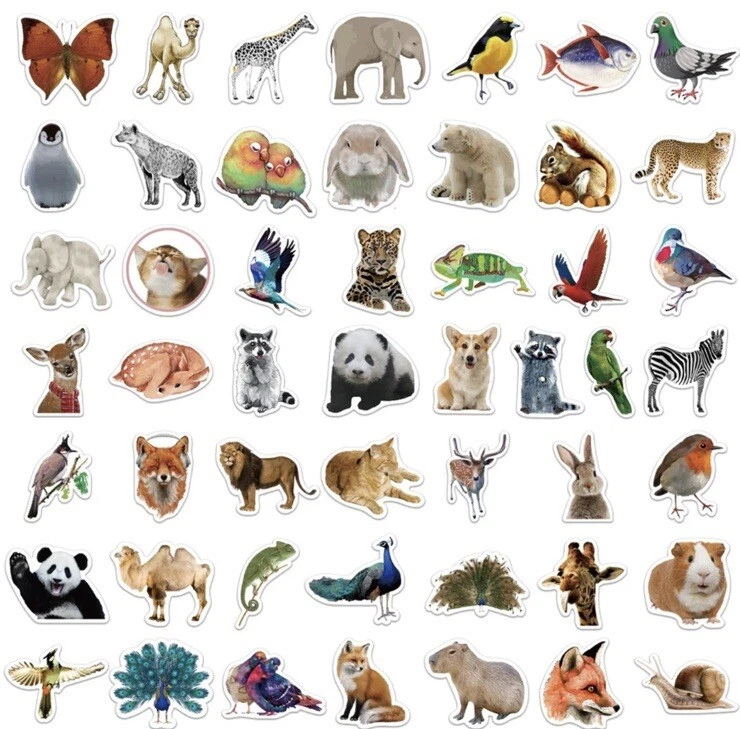 Paquete de 50 pegatinas de animales salvajes de zoológico de la selva calidad acabado mate decoración hágalo usted mismo Foto 2 de 4