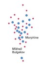 Morphine by Mikhail Afanasevich Bulgakov (Paperback, 2013)