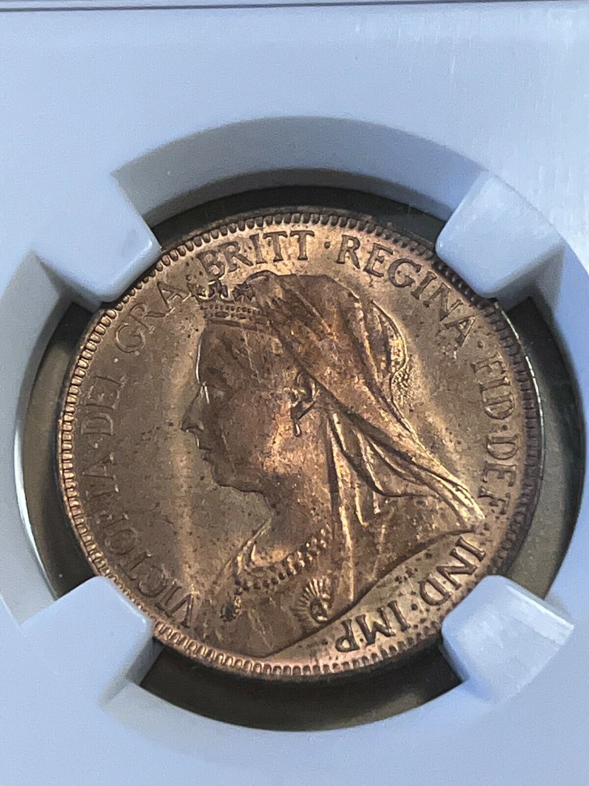 1900 Free Shipping Cheap Bargain Gift Great Britain Half Penny Las Vegas Mall MS64RB NGC Graded by