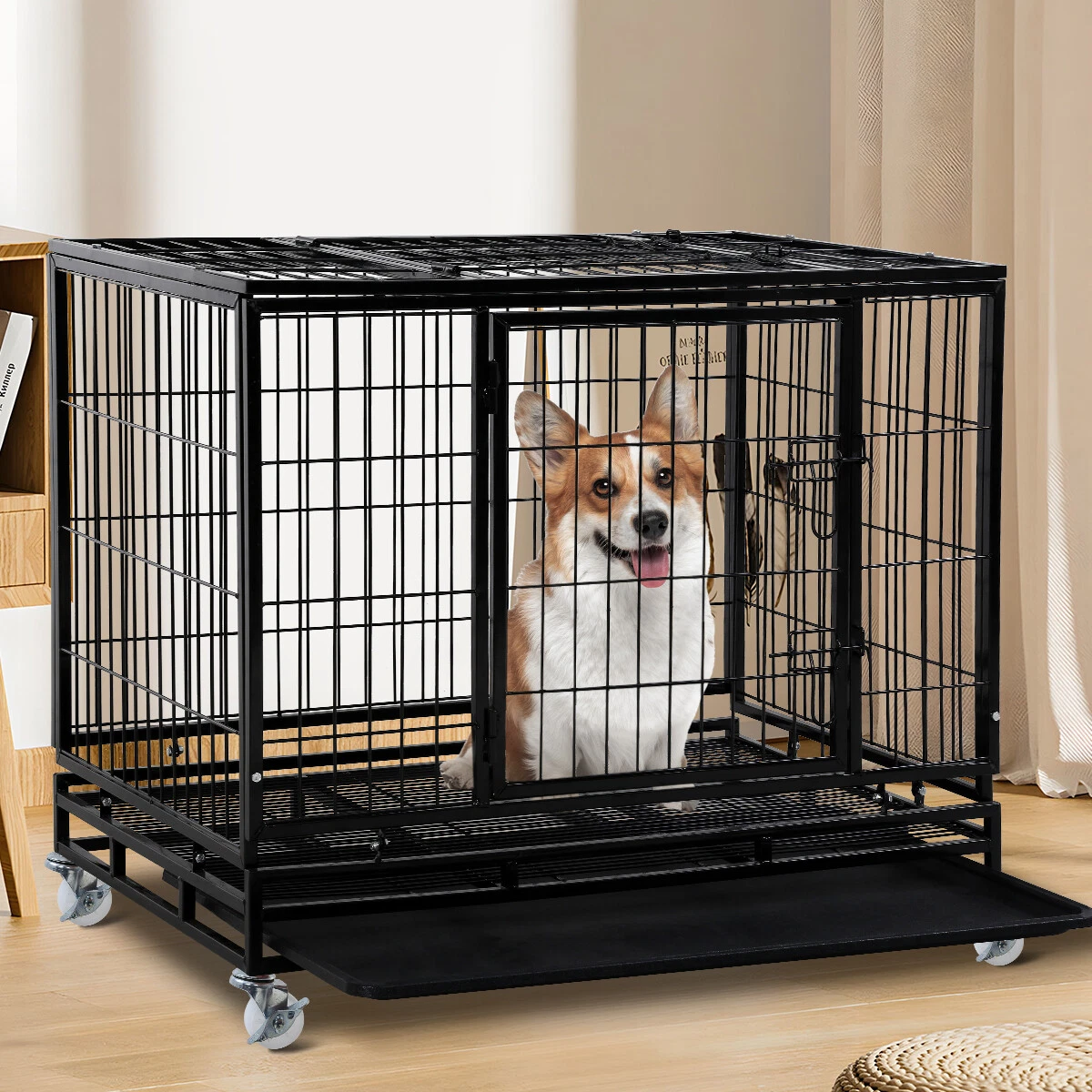 36 inch puppy shop crate