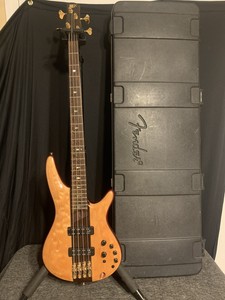 carry on luggage rules delta