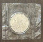 CMG Mint 1 Oz .999 Silver Art Round Wet & Wild Girls Just Wanna Have FUN W/ COA