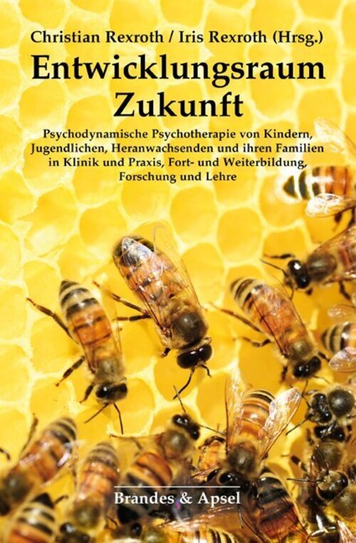 Thumbnail - Entwicklungsraum Zukunft | Christian Rexroth (u. A.) | Deutsch |