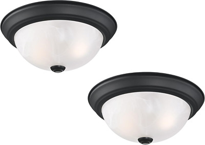 588251 Traditional 2-Light Indoor Dimmable Ceiling Light with Alabaster Glass fo