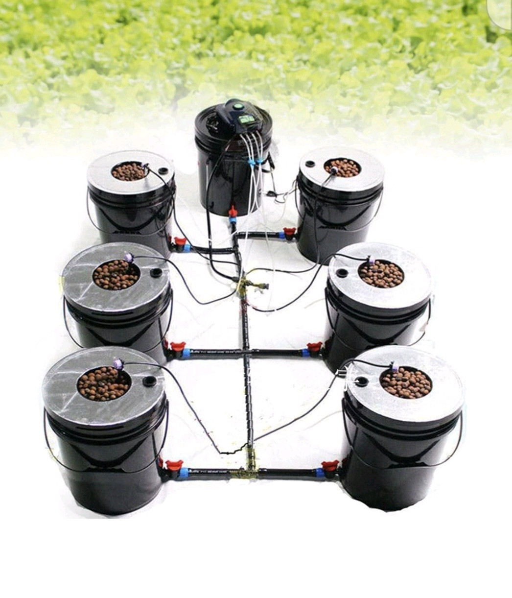 Système hydroponique DWC Deep Water Culture avec 1 réservoir et 6 pots de culture 20L