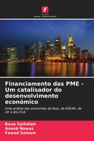 Financiamento Das PME - Um Catalisador Do Desenvolvimento EconóMico Taschenbuch