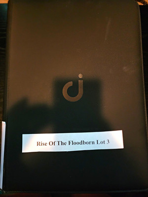 Lorcana Rise Of The Floodborn Lot 3