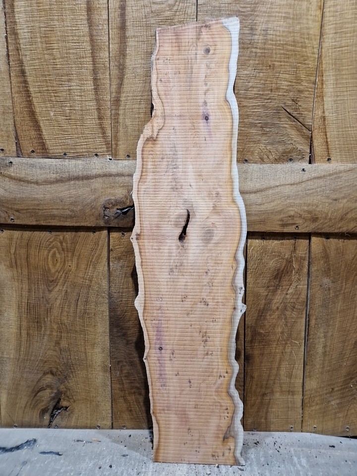 Live Edge Yew Slab (068) eBay