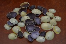 100 PCS 2 HOLES RING TOP COWRIE SEA SHELL BEADS CHARMS