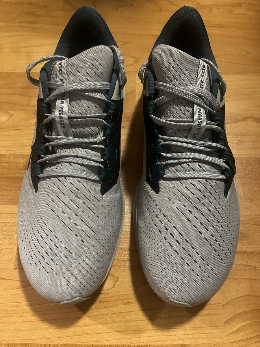 Pegasus Shoes Nike Nfl Team Shoes 2021 Philadelphia Eagles Nike