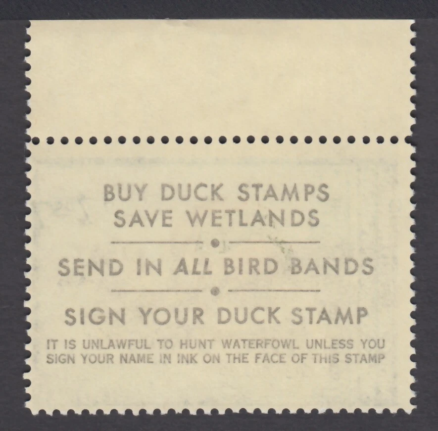 UNITED STATES DUCK STAMP RW46 MNH $5.00 GREEN WINGED TEAL - Image 2 of 2