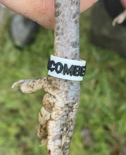 Customisable 3D Printed 12mm BANTAM! Leg Rings Chickens Poultry Your Own Text