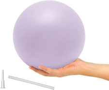 9 Inch Exercise Pilates Ball Mini Exercise Barre Ball for Yoga,Stability Exercis