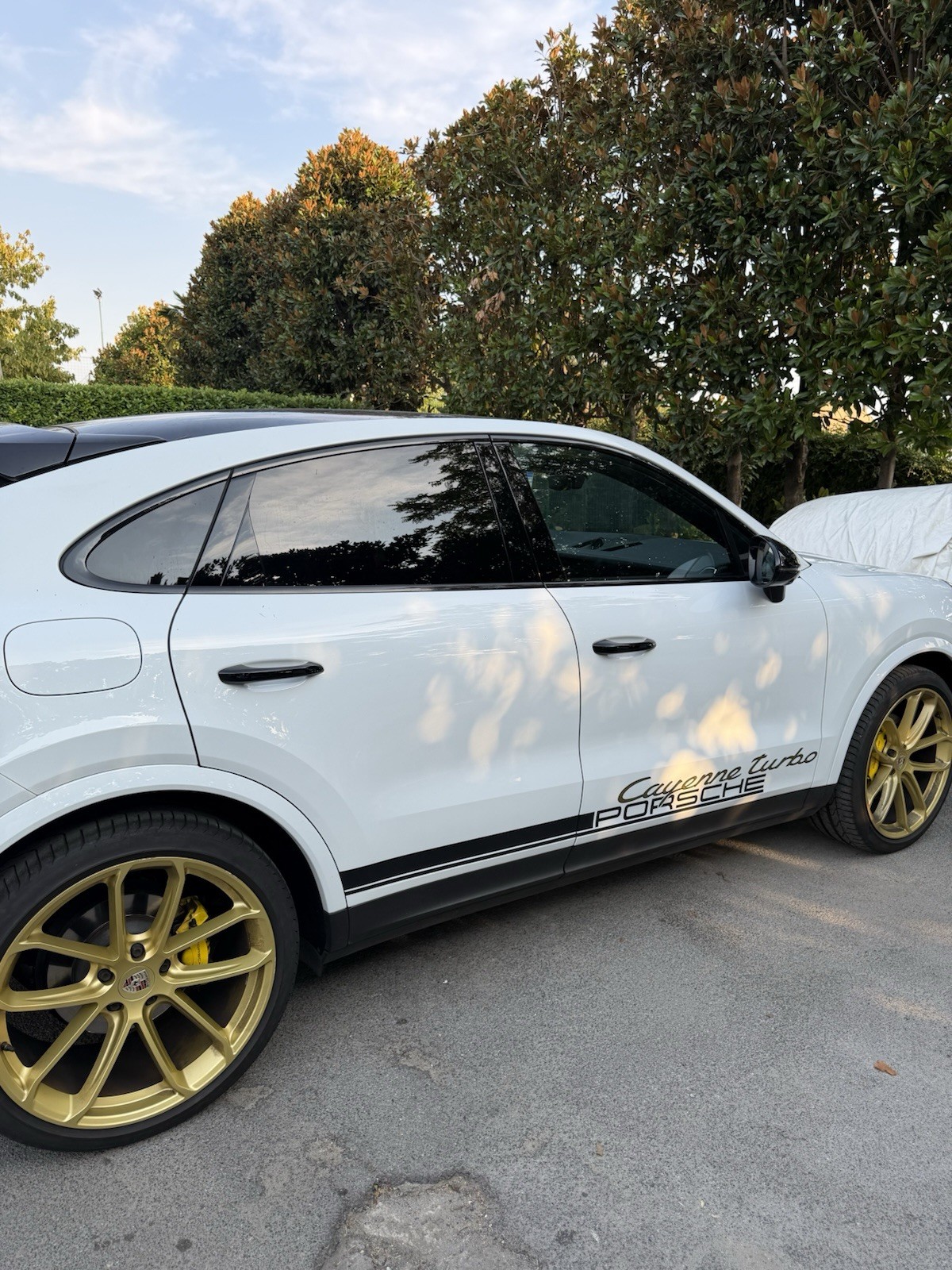 Porsche Cayenne Coupé 3.0 V6 foto 3