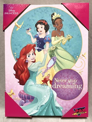 #ad NEW Disney Princess quot;Never stop dreamingquot; Canvas Wall Art 13in x 10in $20.99