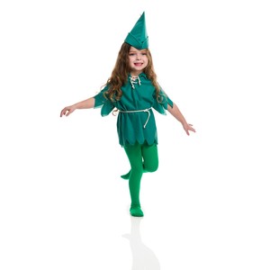 Toddler Peter Pan Halloween Costume Size 2t 4t 726123830774 Ebay