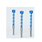 Foto 7 di 12