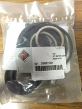 2589611C91 INTERNATIONAL STEERING GEAR SECTOR SHAFT SEAL KIT SHEPPARD 5546251
