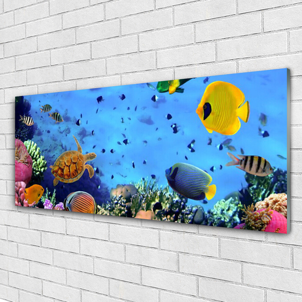 Tableau mural Plexiglas 125x50 récif corail pour illuminer un couloir sombre