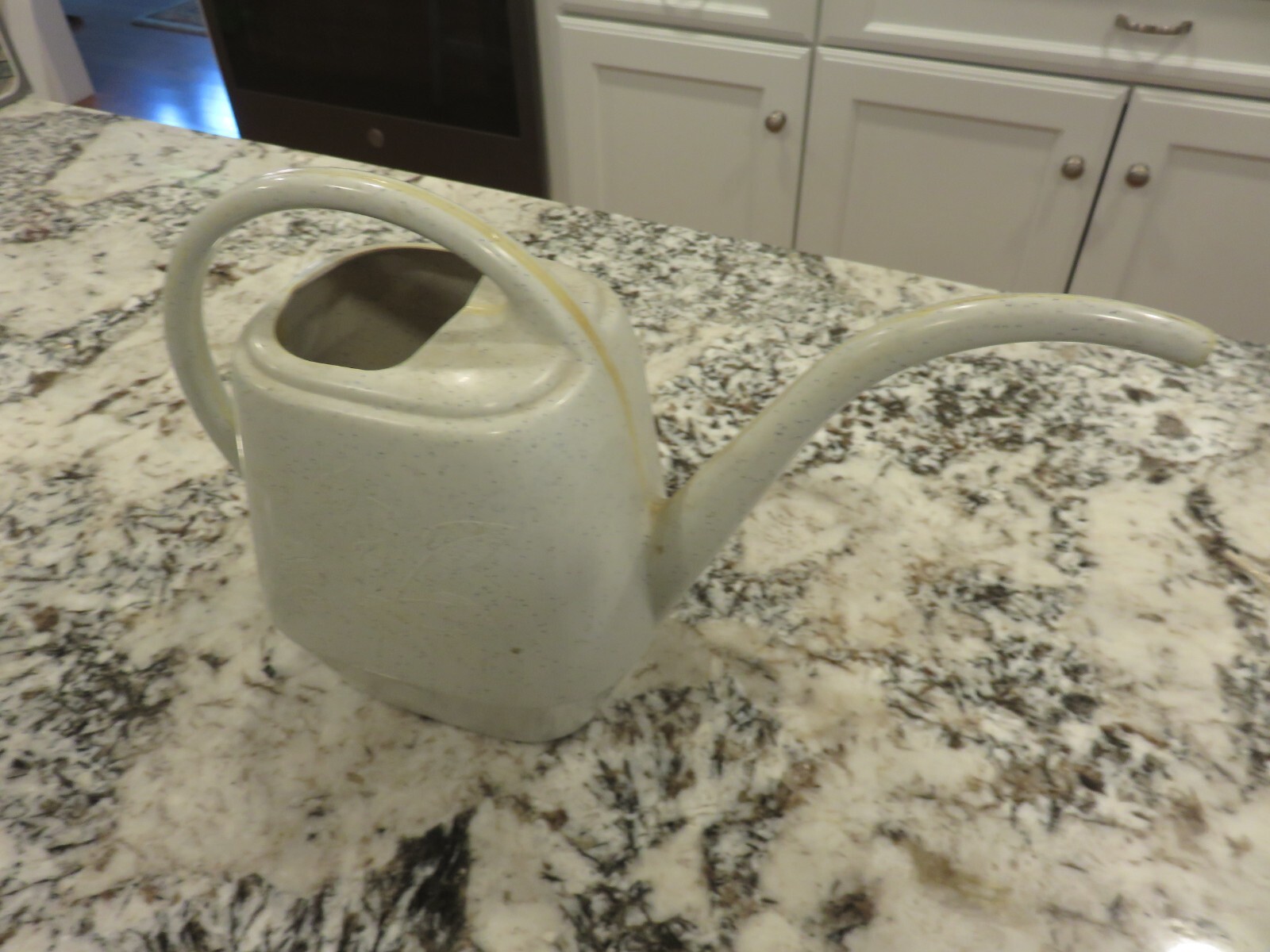 VTG Garden Scene Watering Can Granite Gray Fleck Plastic Leaves AW21