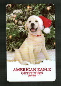 american eagle dog