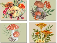 Watercolor Mushroom Note Cards & Envelope 12 or 24 Count-Blank Inside-5.5"x4.25"