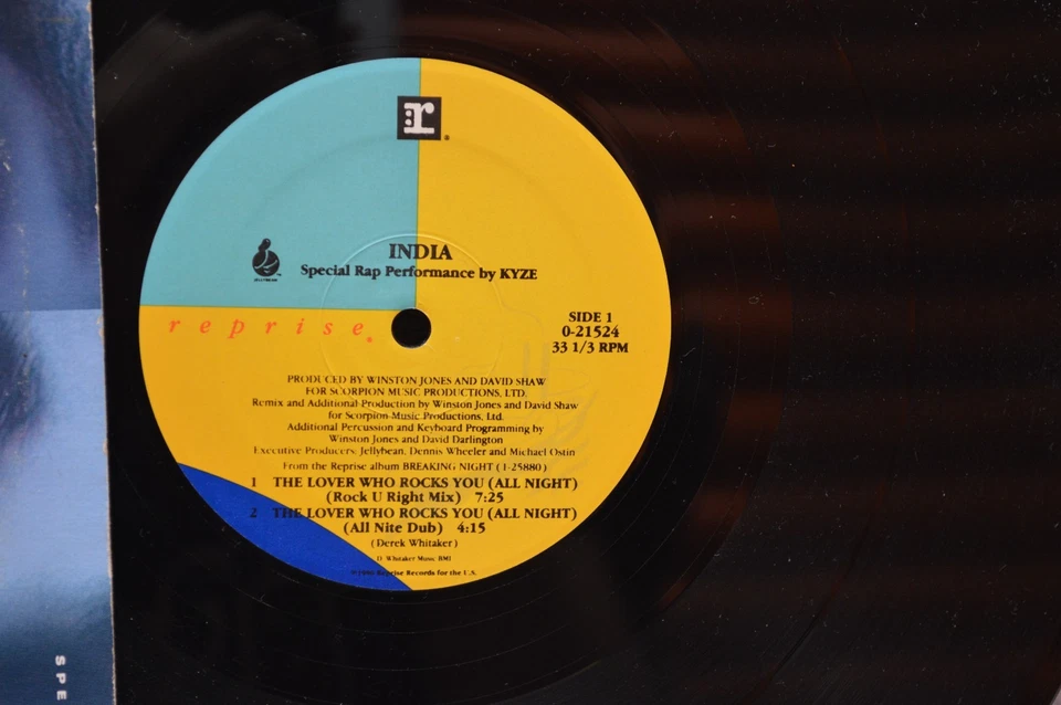 INDIA-The Lover who rocks you all night vinyl Foto 3 de 4