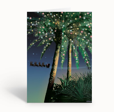 Santa Flying by a Holiday Palm - 18 Christmas Cards and Envelopes - 30083