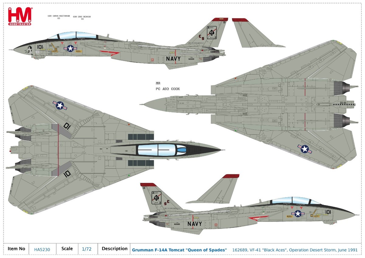 F-14A Tomcat USN VF-41 Black Aces, Queen of Spades, Hobby
