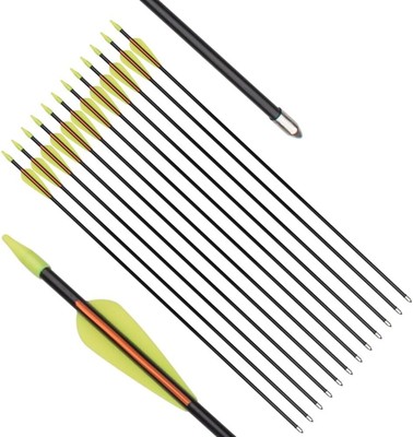 Archery Practice Fiberglass Arrows 24/26/28/30 Inch Target 26 inch 12PCS 