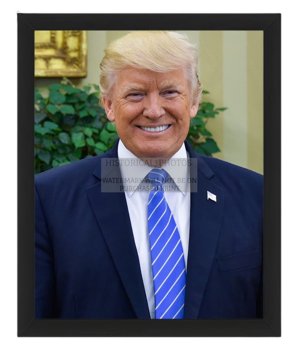 PRESIDENT DONALD TRUMP IN THE OVAL OFFICE 2017 PORTRAIT 8X10
