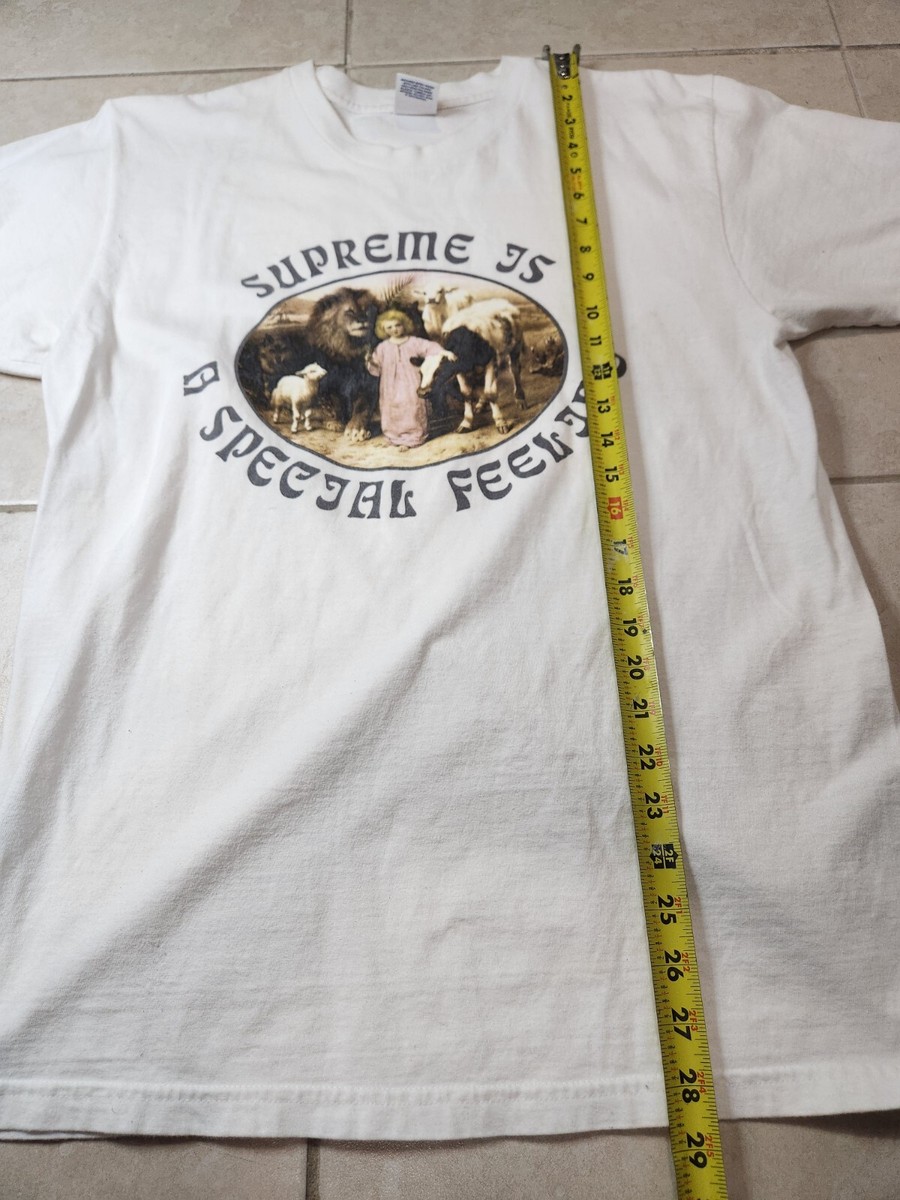Supreme Is a Special Feeling Tee FW16 White William Strutt Peace
