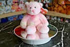 TY Beanie Baby - Fauna the Bear (Pink) | Tush Tag Wear | Vintage | Rare