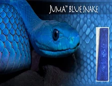 1 Blue Snake Juma .187" Scale 2" x 12" - Knife Handle Material Blank
