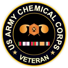 US Army Chemical Corps Veteran Bumper Sticker Military Vinyl Soldier Decal 5"
