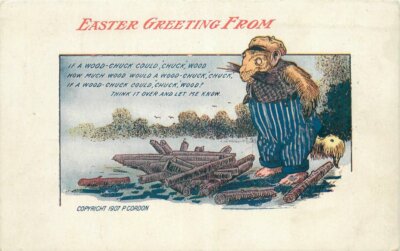 Easter Comic Humor Wood Chuck Could chuck wood 1920s #5300 Postcard 21-5080