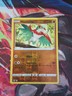 Hawlucha 98/195 Reverse Holo - Silver Tempest - PTCG - NM
