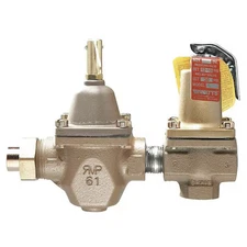 Watts S1450f Fill And Relief Valve, 1/2 In, 30 Psi, Iron